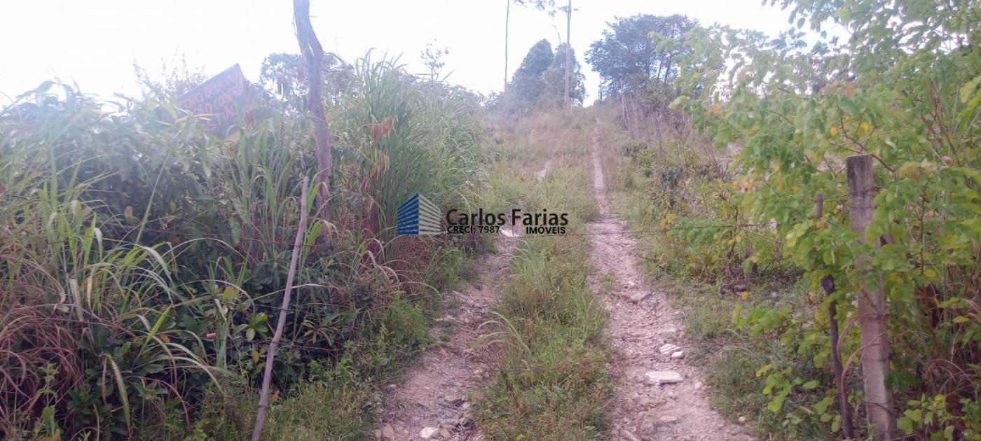 Chácara à venda, 20000m² - Foto 17