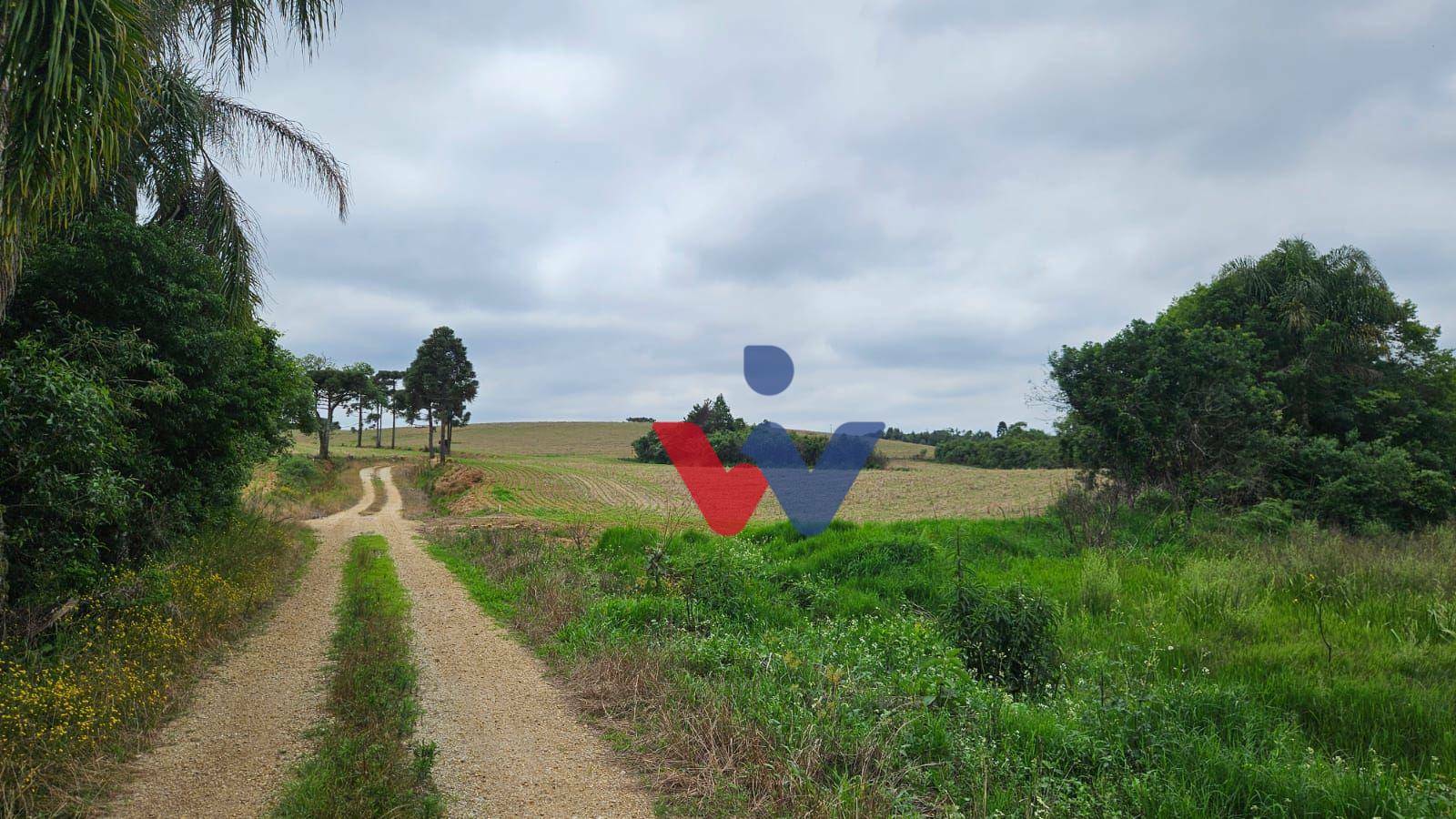 Fazenda à venda com 3 quartos, 1694000M2 - Foto 5