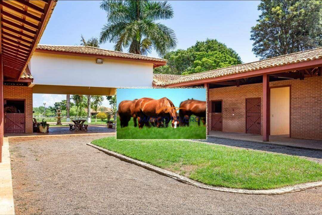 Haras e Área Rural Padrão à venda, 1517340M2 - Foto 8