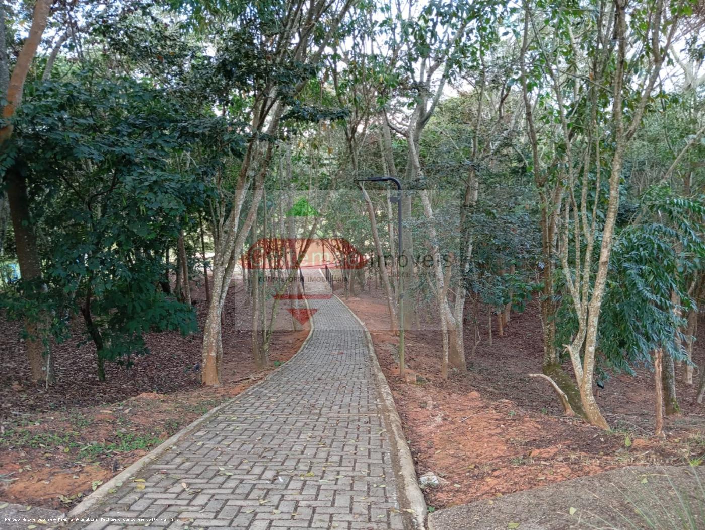 Terreno à venda, 649m² - Foto 7