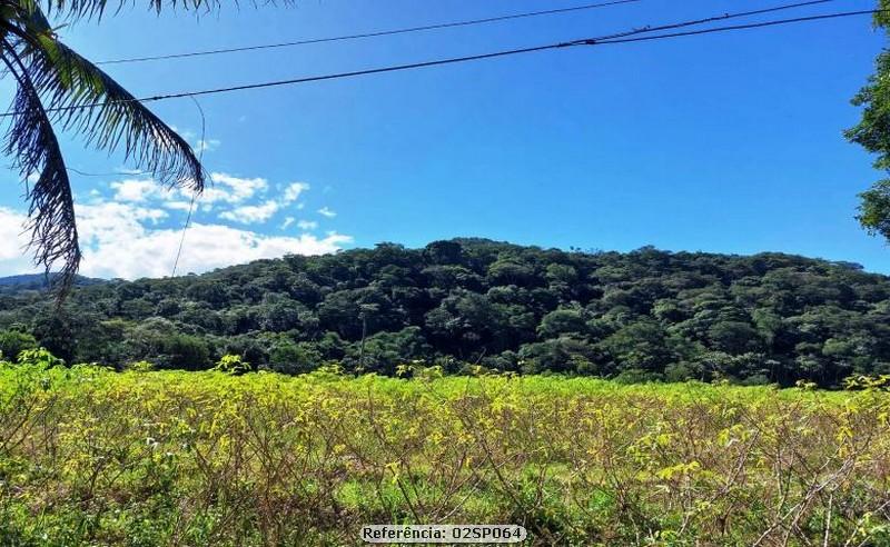 Fazenda à venda com 3 quartos, 160000m² - Foto 15