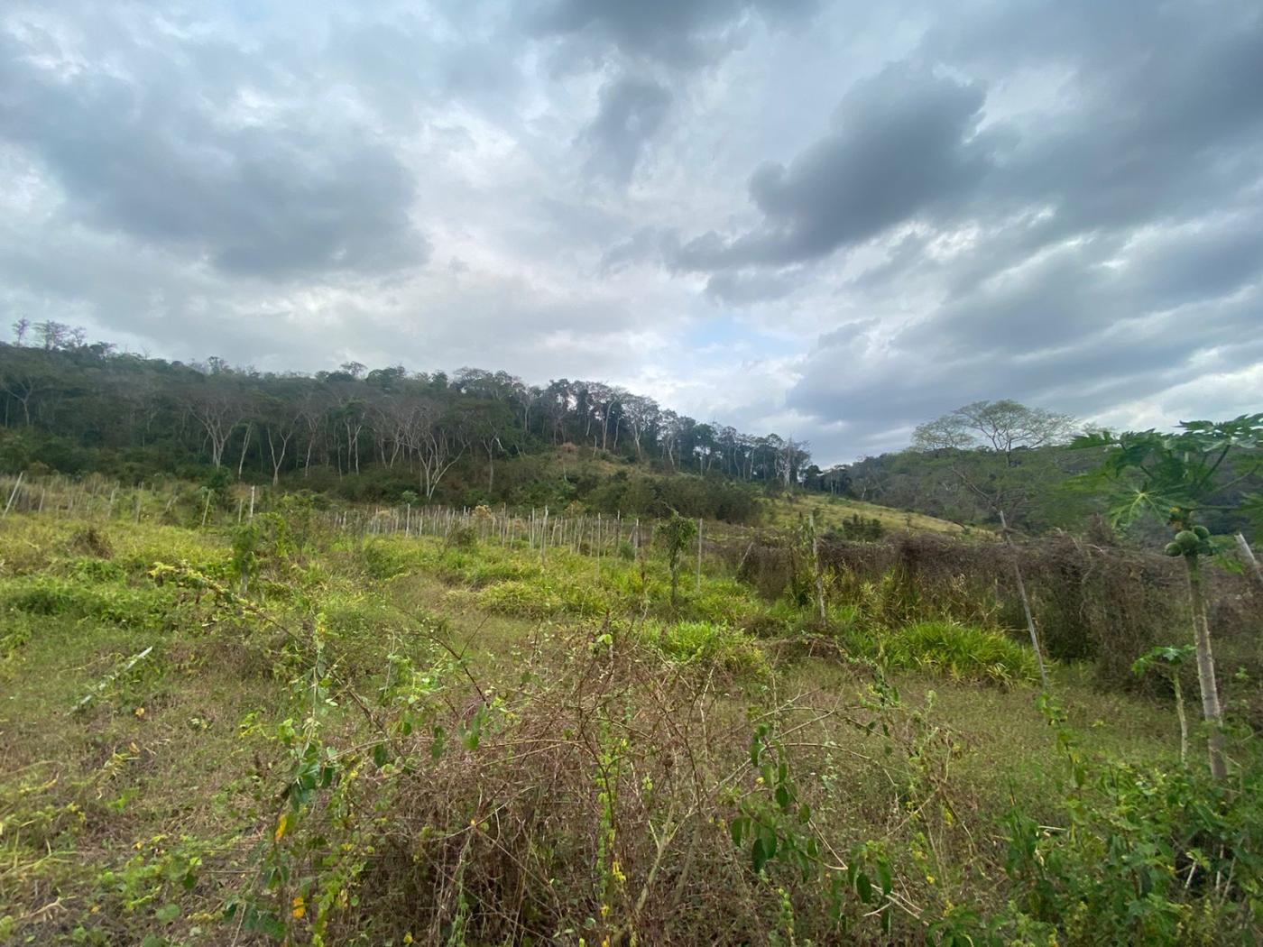 Sítio à venda com 5 quartos, 170000m² - Foto 32