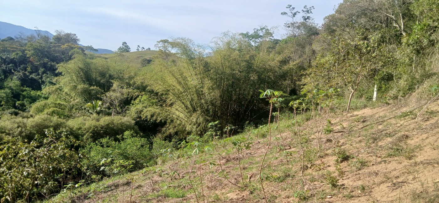 Sítio à venda com 1 quarto, 24800m² - Foto 37