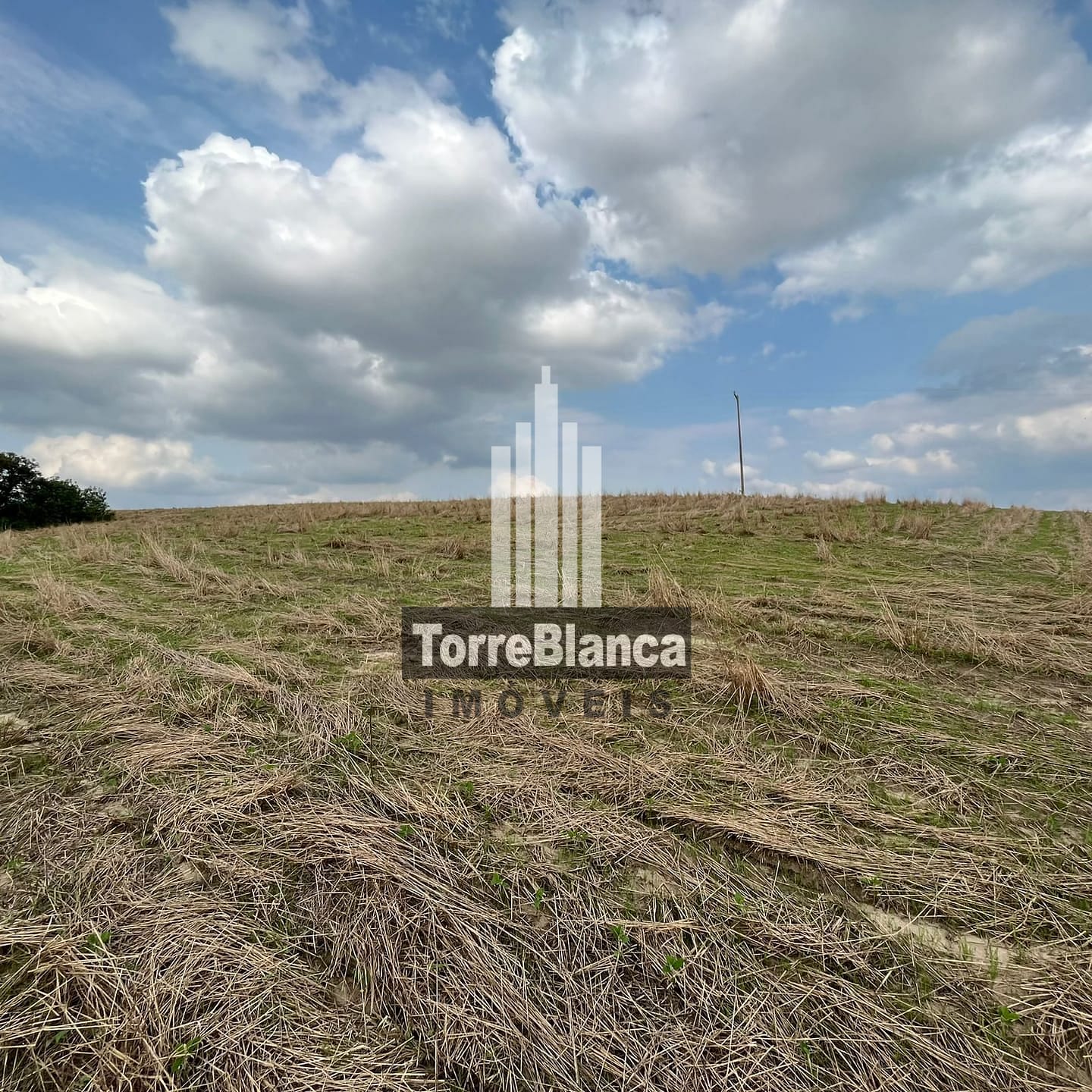 Terreno, 36 hectares - Foto 1