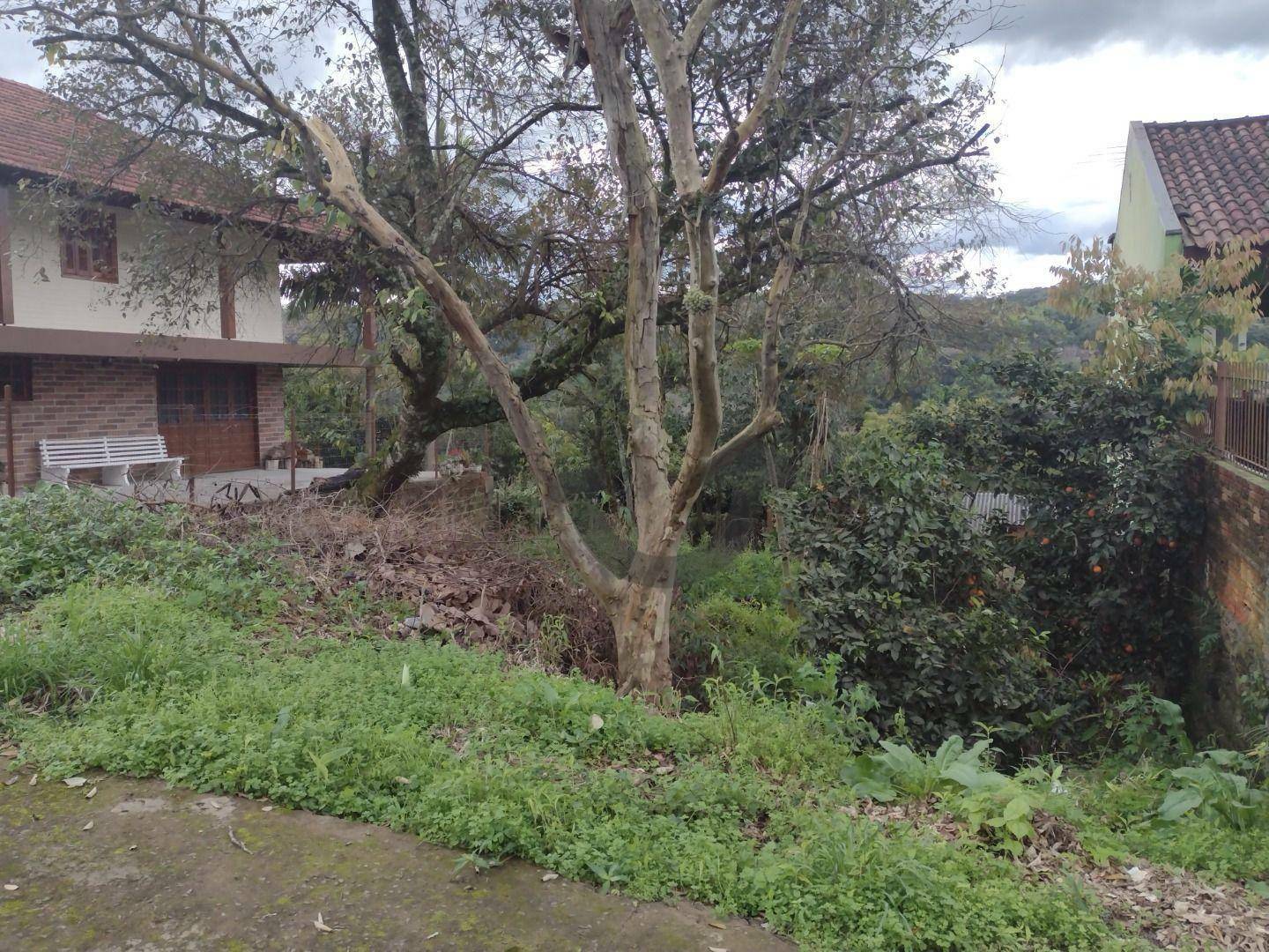 Terreno à venda, 370M2 - Foto 2