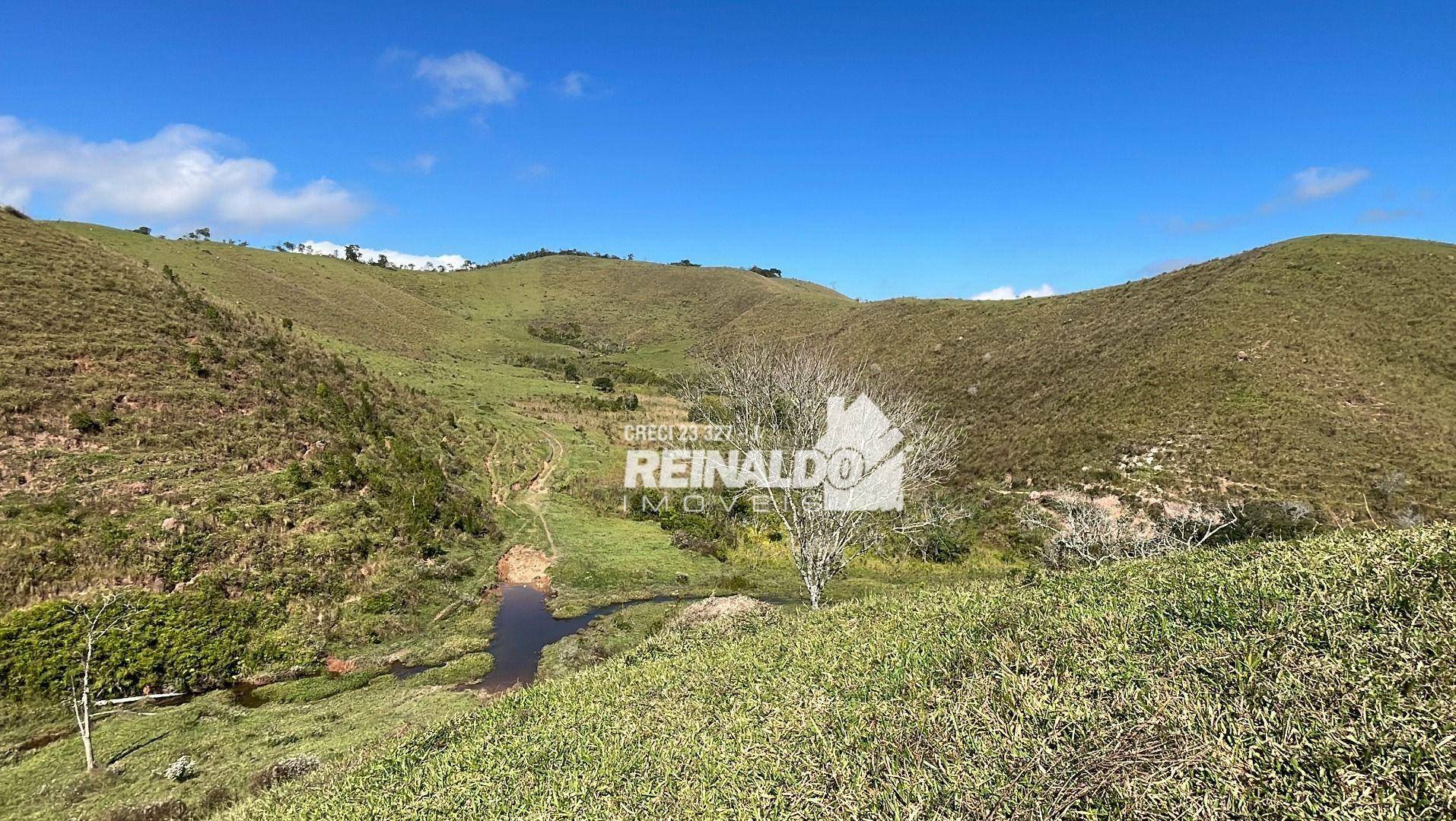 Fazenda à venda com 8 quartos, 900m² - Foto 31