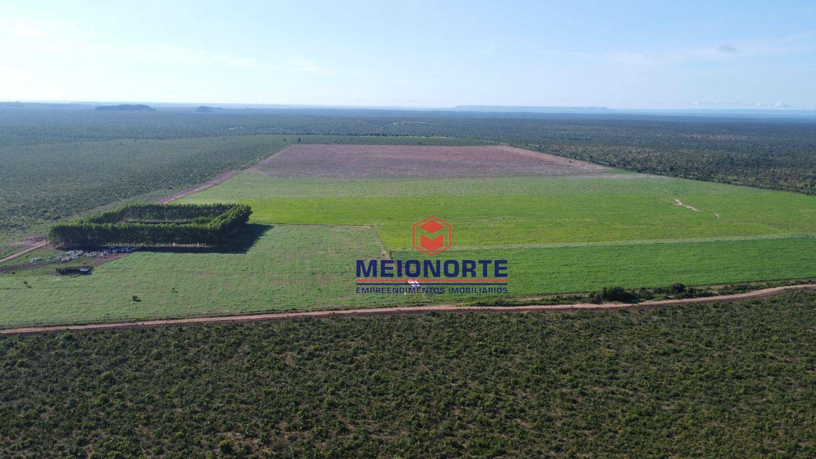 Fazenda à venda com 1 quarto, 7810000M2 - Foto 7