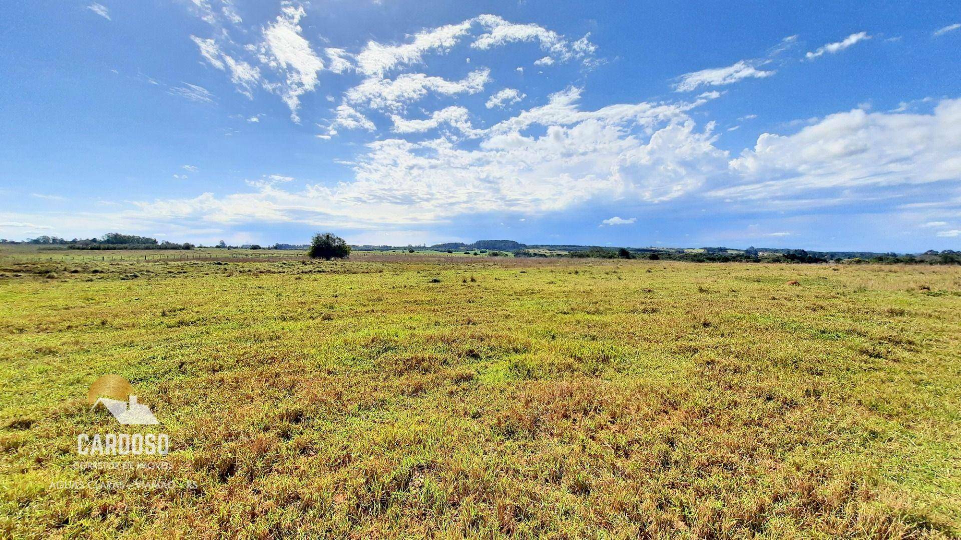 Sítio à venda, 20000M2 - Foto 4