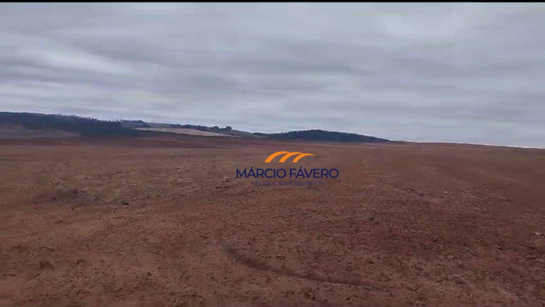 Fazenda, 1198 hectares - Foto 4