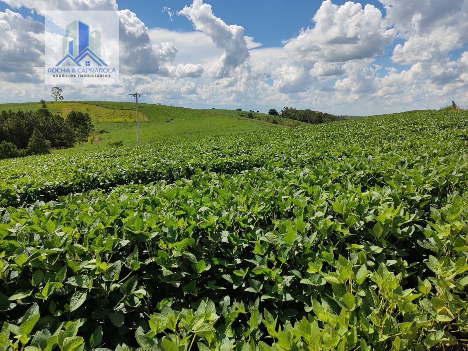 Fazenda à venda com 2 quartos, 726000m² - Foto 2