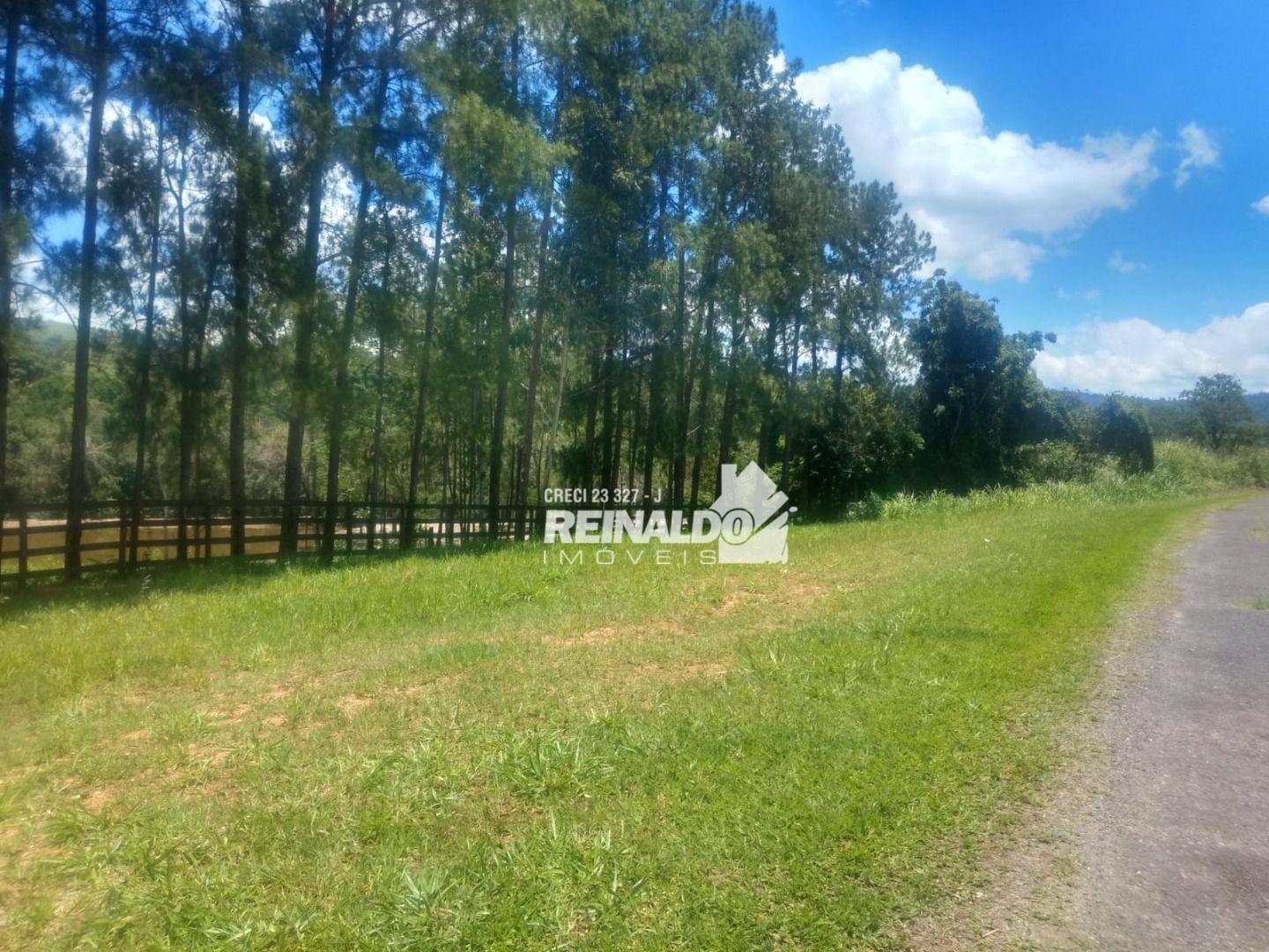 Fazenda à venda com 7 quartos, 600m² - Foto 60