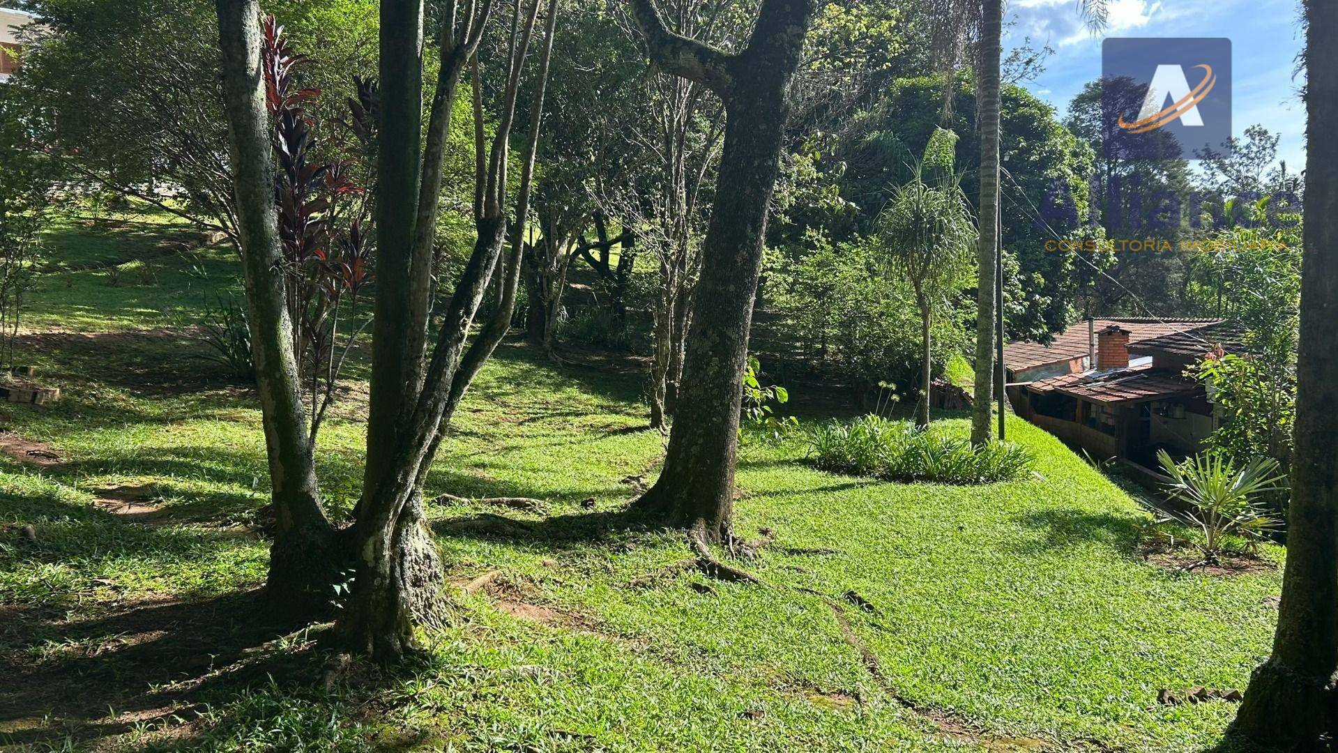 Terreno, 3 hectares - Foto 36