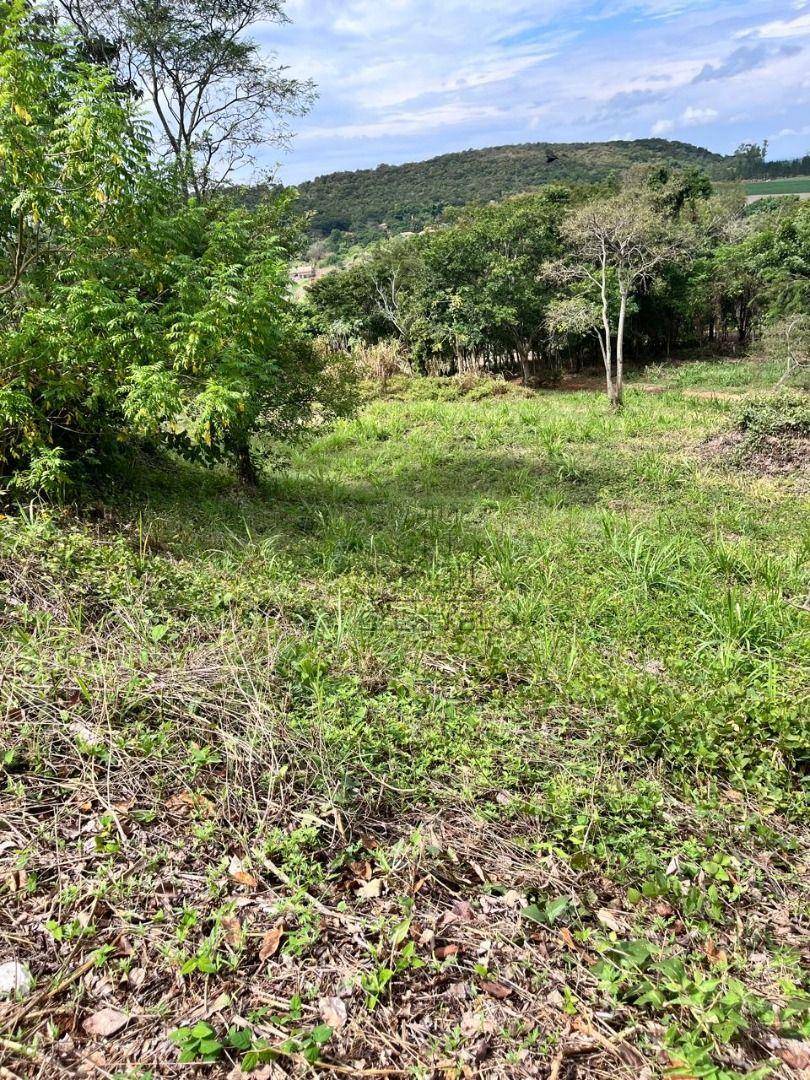 Loteamento e Condomínio, 5000 m² - Foto 3