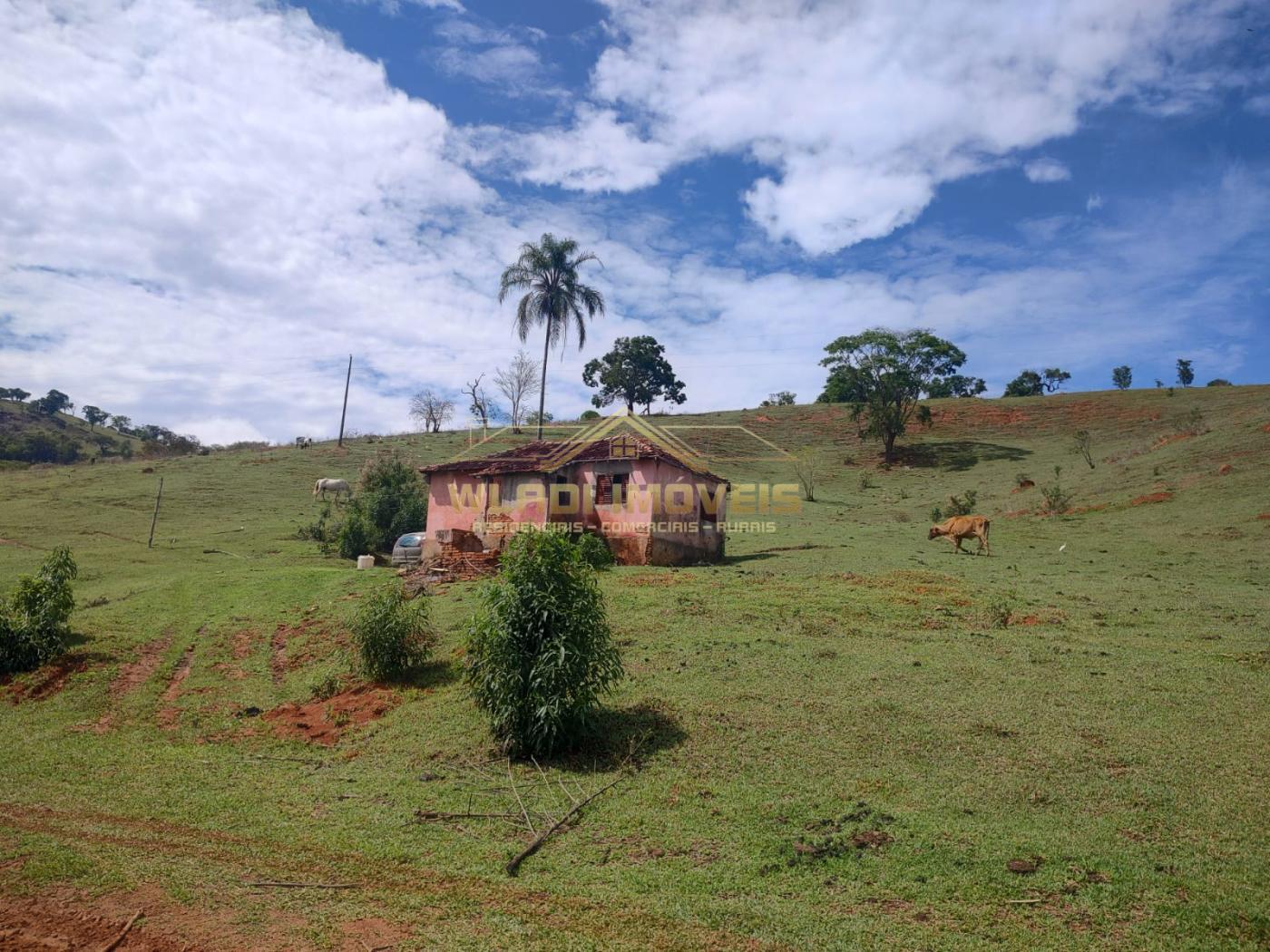 Fazenda à venda, 10m² - Foto 8