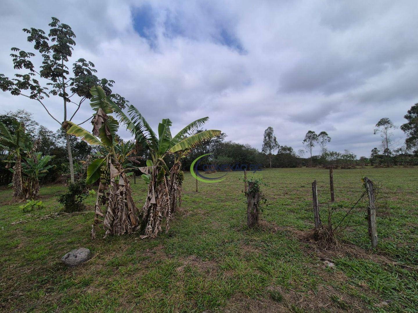 Sítio à venda com 3 quartos, 20000M2 - Foto 5