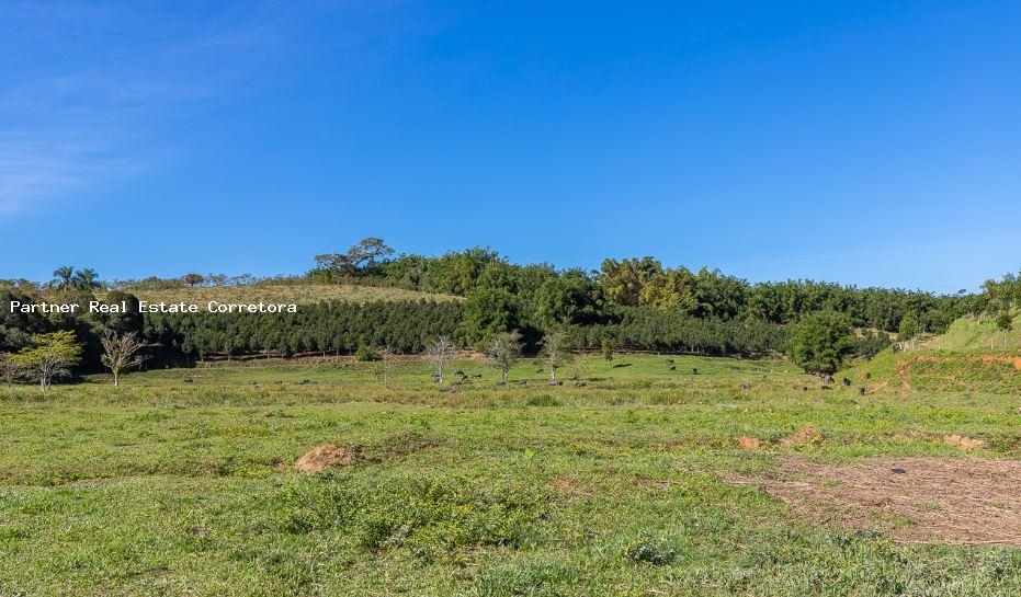 Fazenda à venda com 1 quarto, 2750000m² - Foto 7