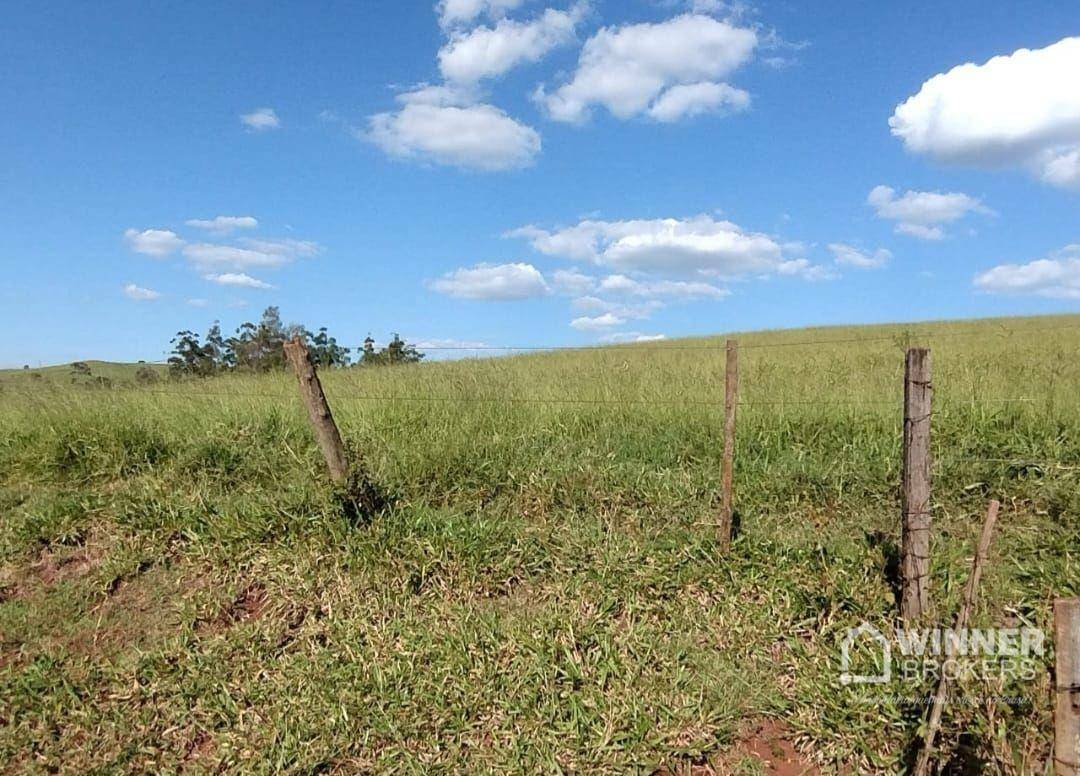 Fazenda à venda com 2 quartos, 2299000M2 - Foto 10