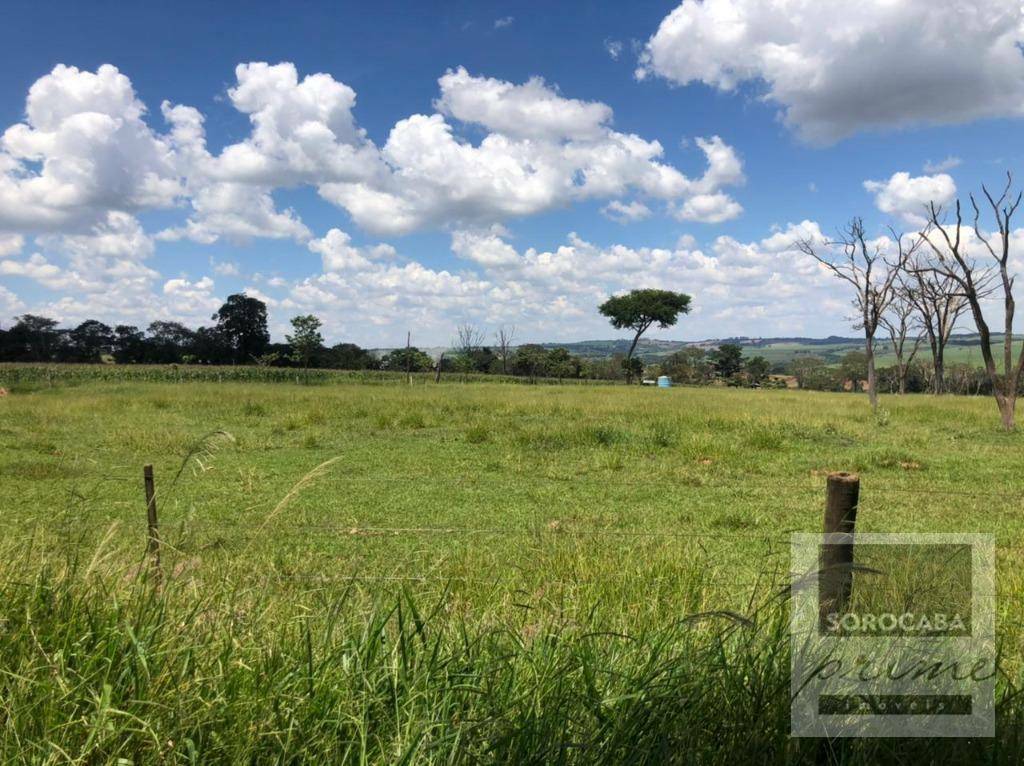 Fazenda-Sítio-Chácara, 58 hectares - Foto 5