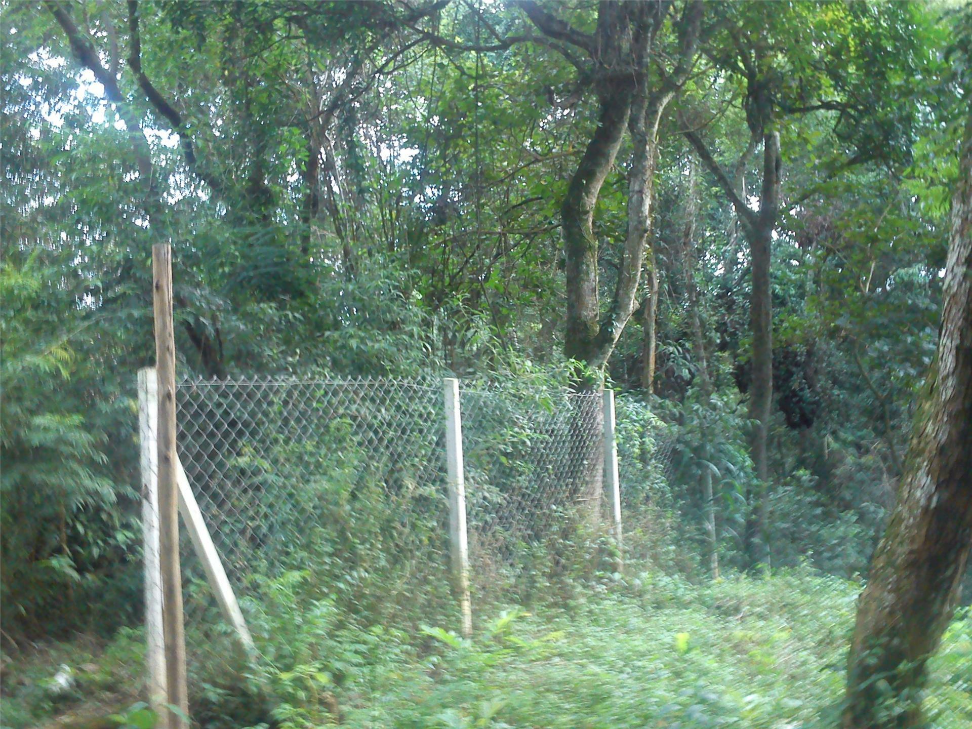 Loteamento e Condomínio à venda, 1681M2 - Foto 3