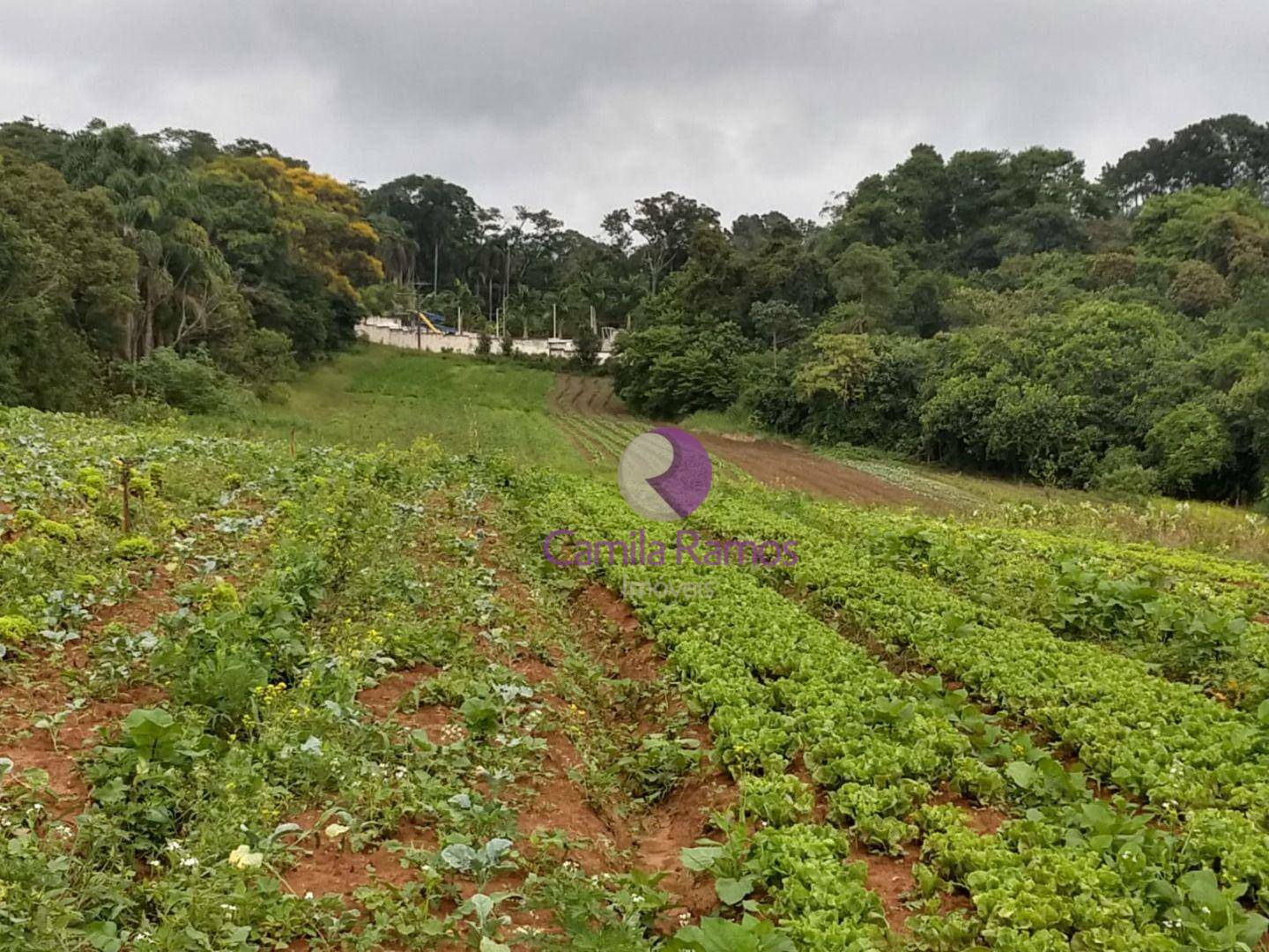 Terreno à venda, 176000M2 - Foto 13