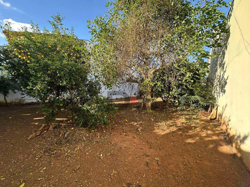 Terreno, 283 m² - Foto 4