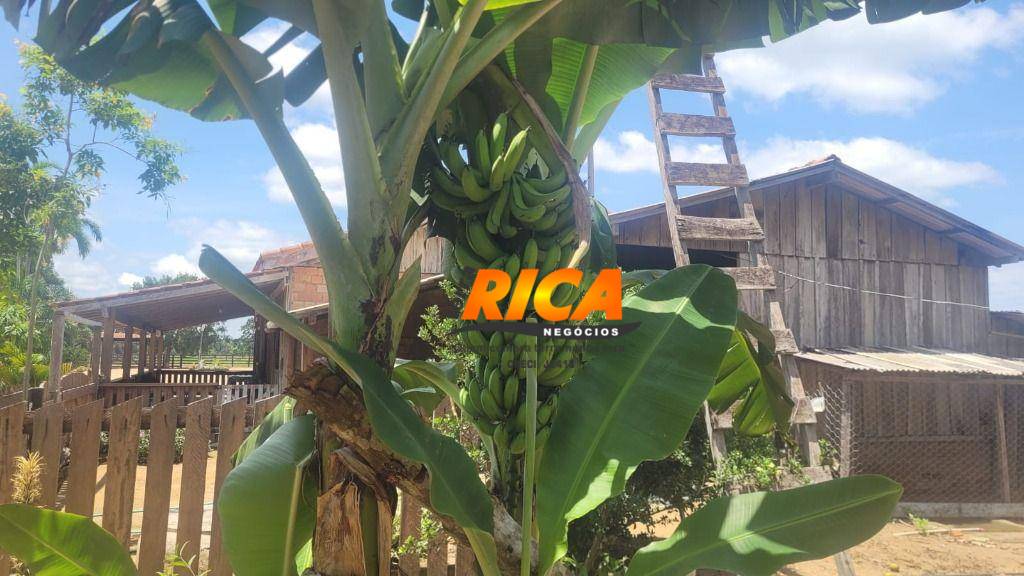 Sítio, 40 hectares - Foto 15