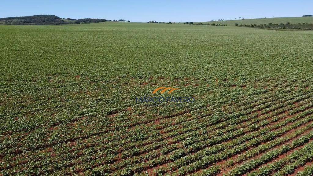 Fazenda à venda, 1210000M2 - Foto 18