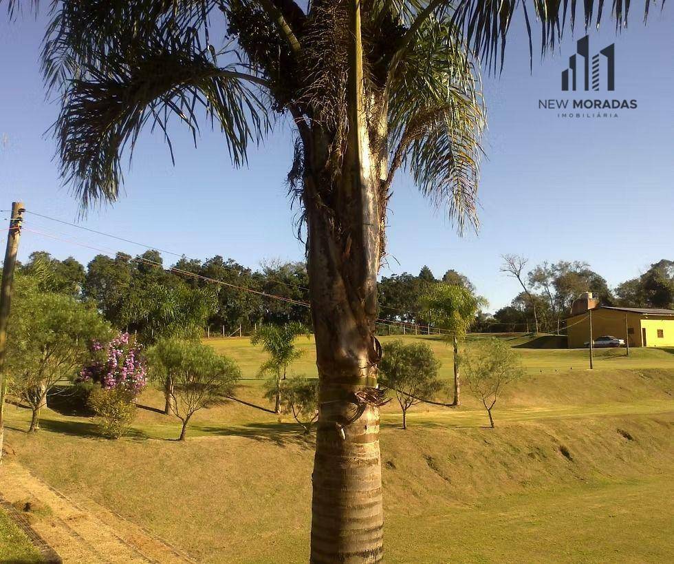 Terreno, 5000 m² - Foto 8