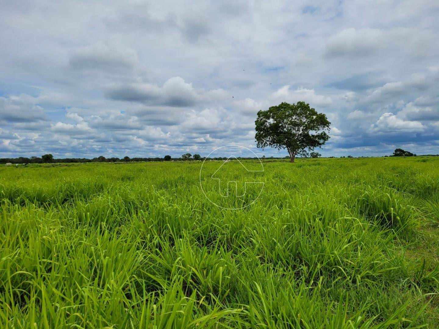 Fazenda à venda, 61350000M2 - Foto 15