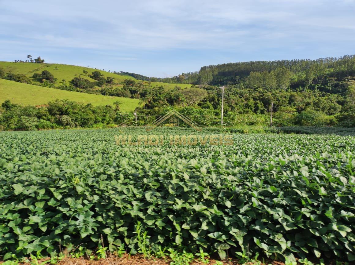 Fazenda à venda, 300m² - Foto 9