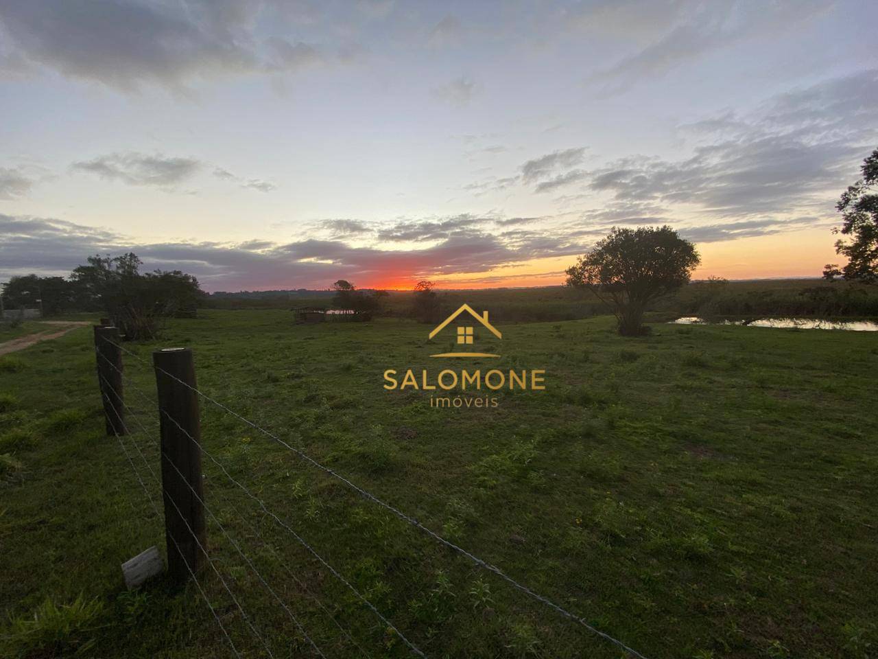 Sítio, 2 hectares - Foto 4