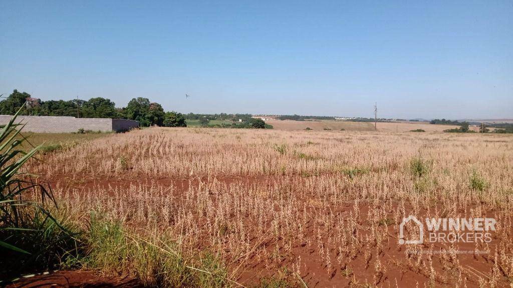 Terreno à venda, 145200M2 - Foto 3