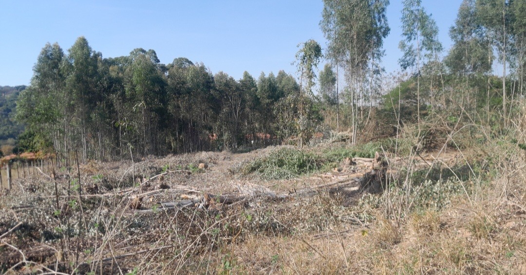 Chácara à venda, 5000m² - Foto 4
