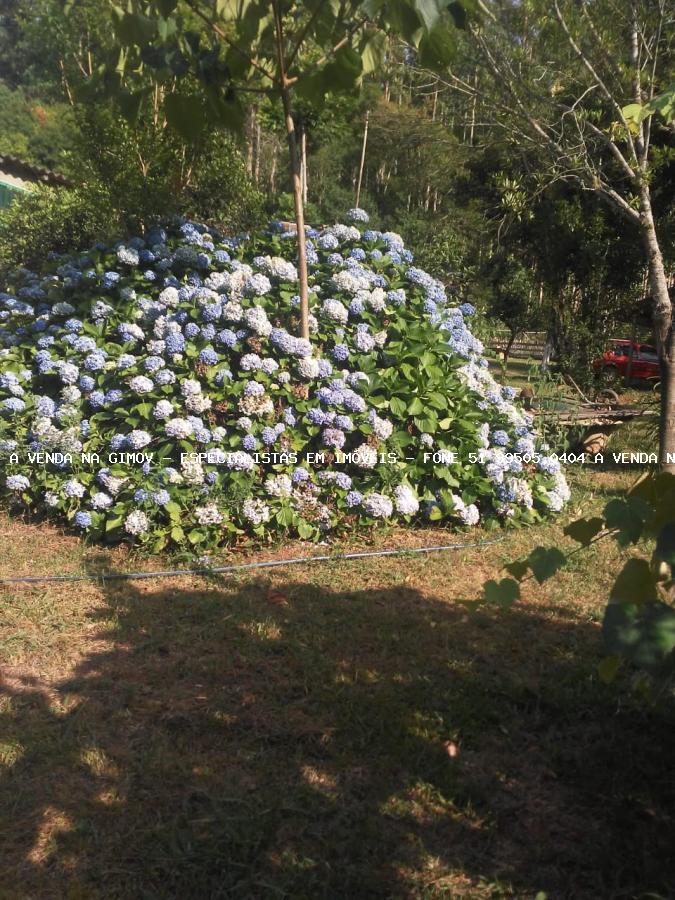 Fazenda à venda com 5 quartos, 20000m² - Foto 27