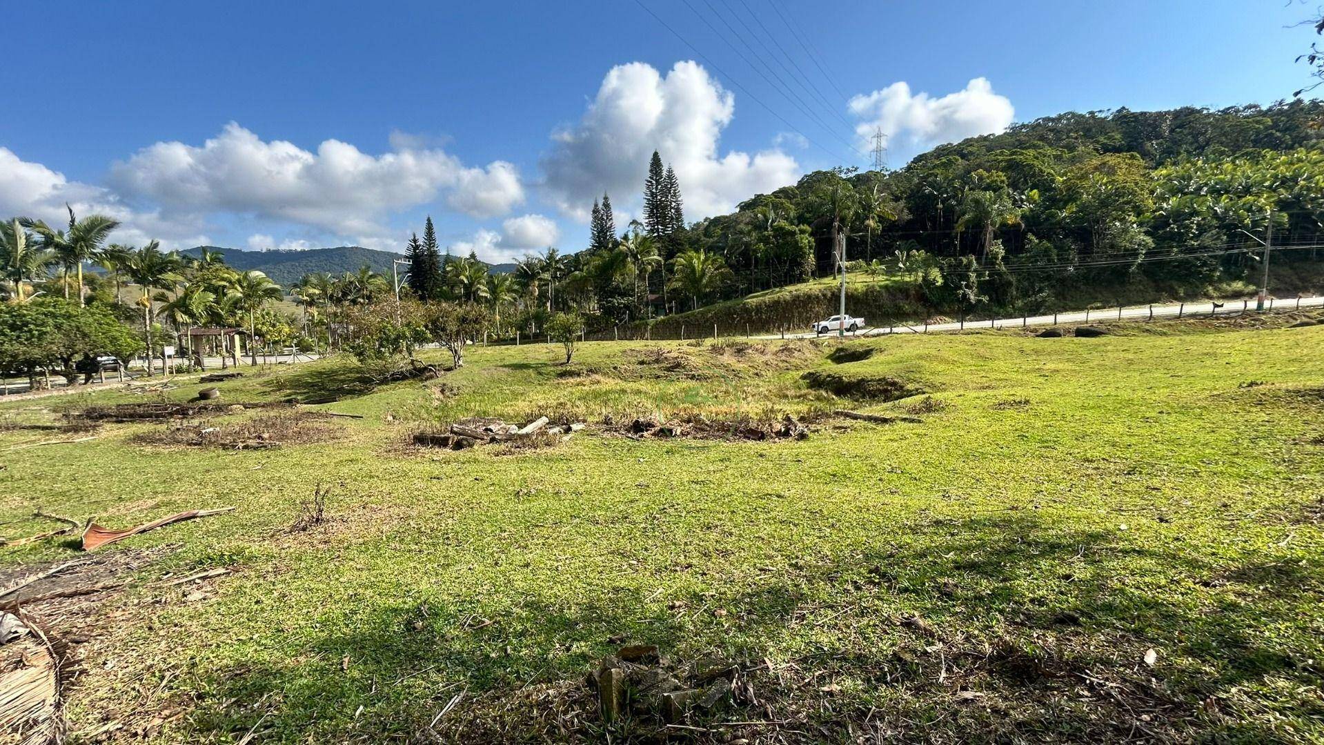 Sítio, 10000 m² - Foto 12