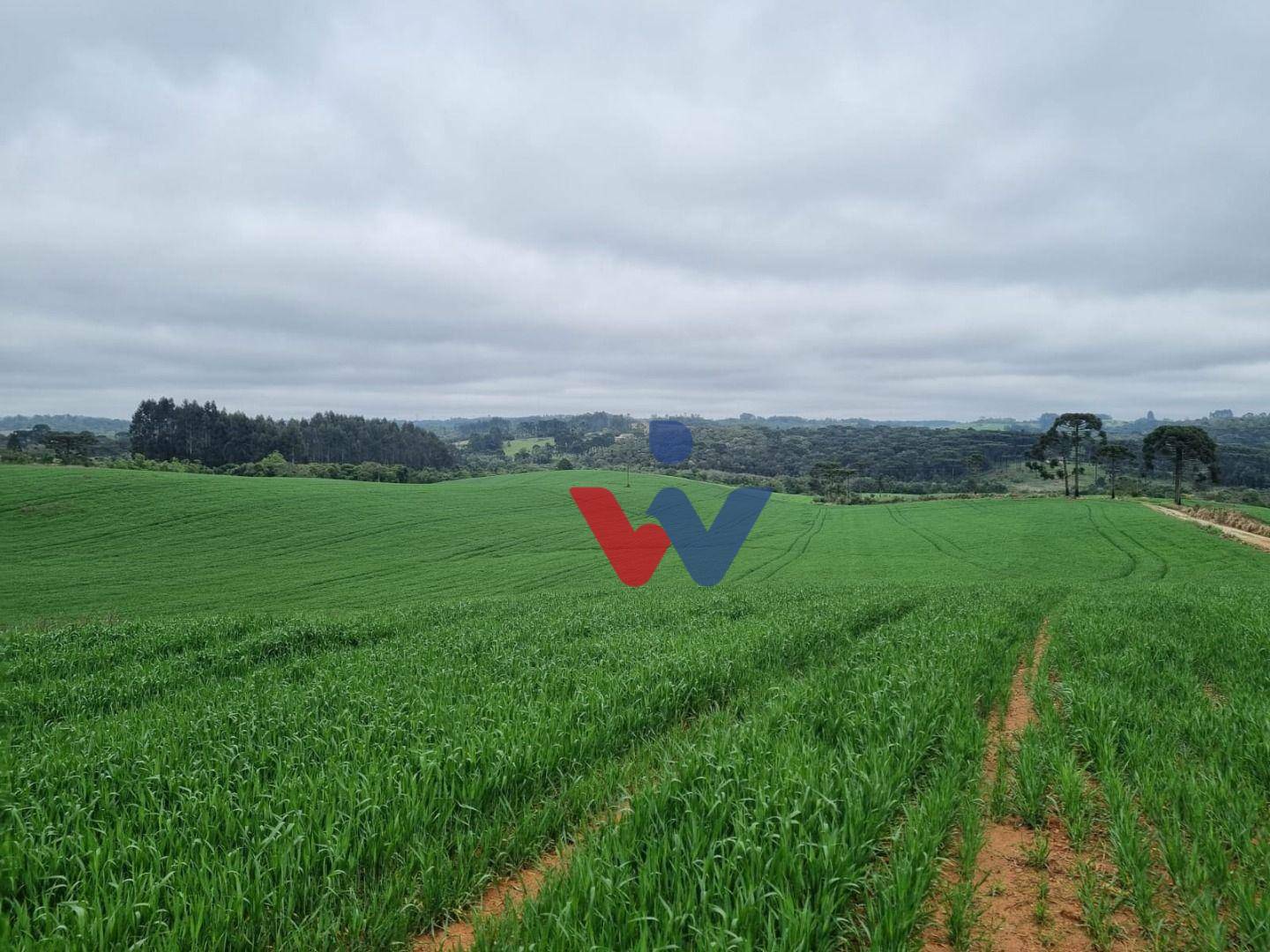 Fazenda à venda com 3 quartos, 1694000M2 - Foto 45