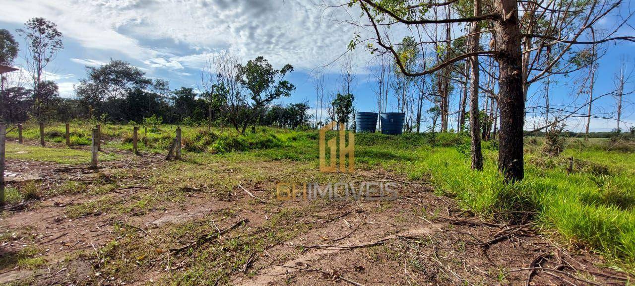 Fazenda-Sítio-Chácara, 6 hectares - Foto 5