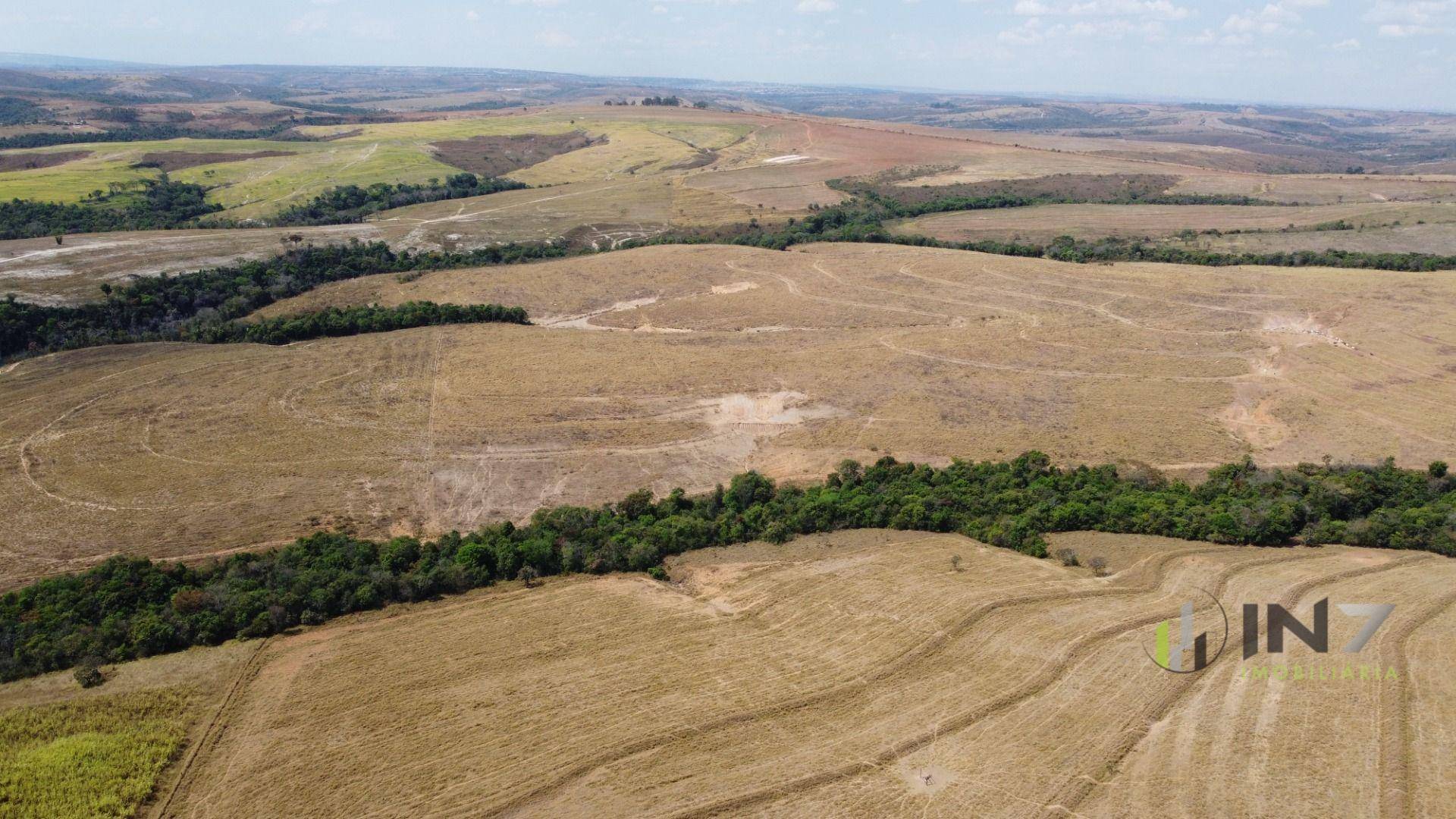 Fazenda-Sítio-Chácara, 800 hectares - Foto 3