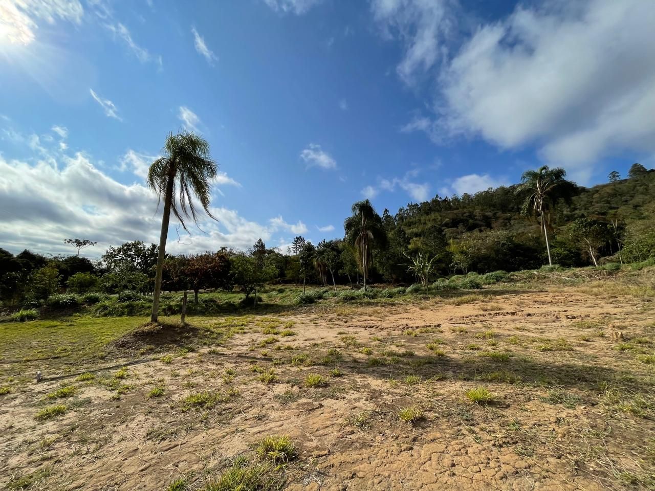 Loteamento e Condomínio à venda, 5585M2 - Foto 3