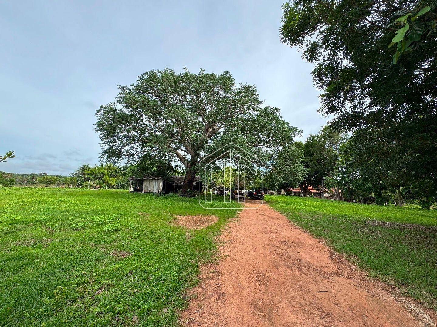 Fazenda à venda com 3 quartos, 26600000M2 - Foto 3