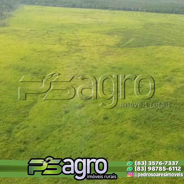 Fazenda-Sítio-Chácara, 37 hectares - Foto 4