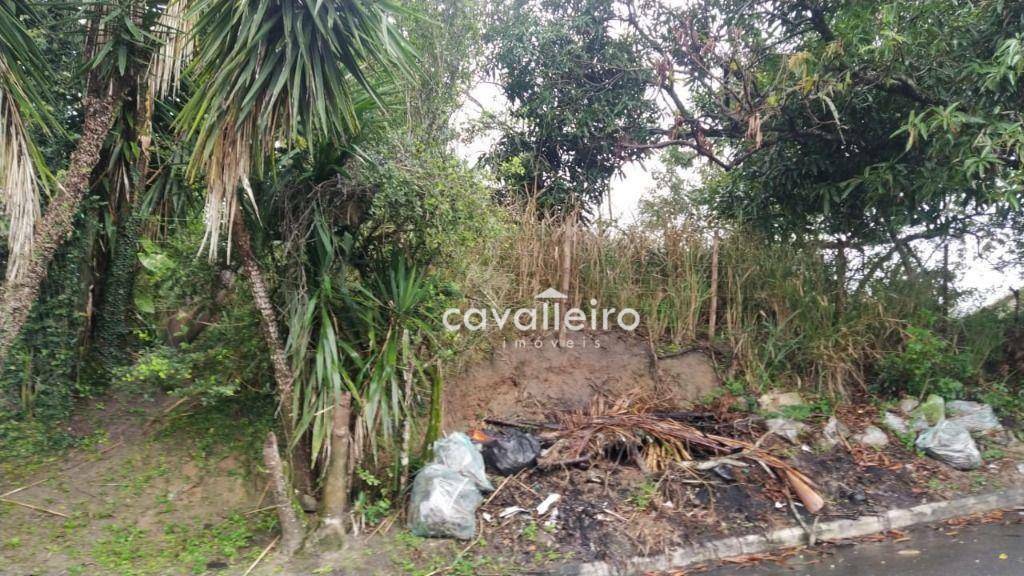 Terreno à venda, 360M2 - Foto 2