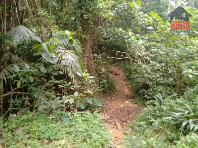 Loteamento e Condomínio à venda, 1700M2 - Foto 5