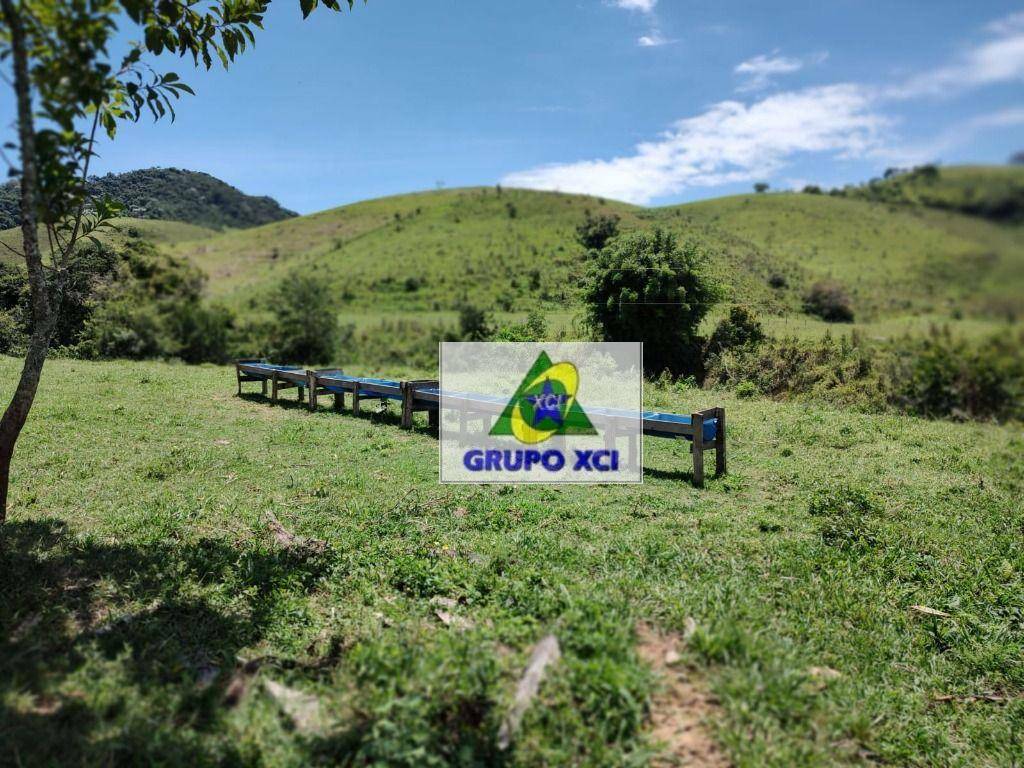 Fazenda à venda, 1060000M2 - Foto 31