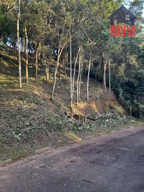 Loteamento e Condomínio à venda, 1900M2 - Foto 1