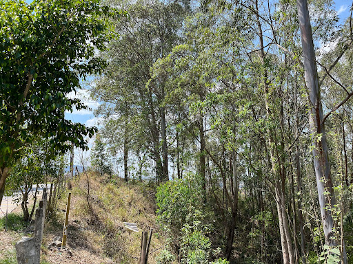 Terreno à venda, 695M2 - Foto 6