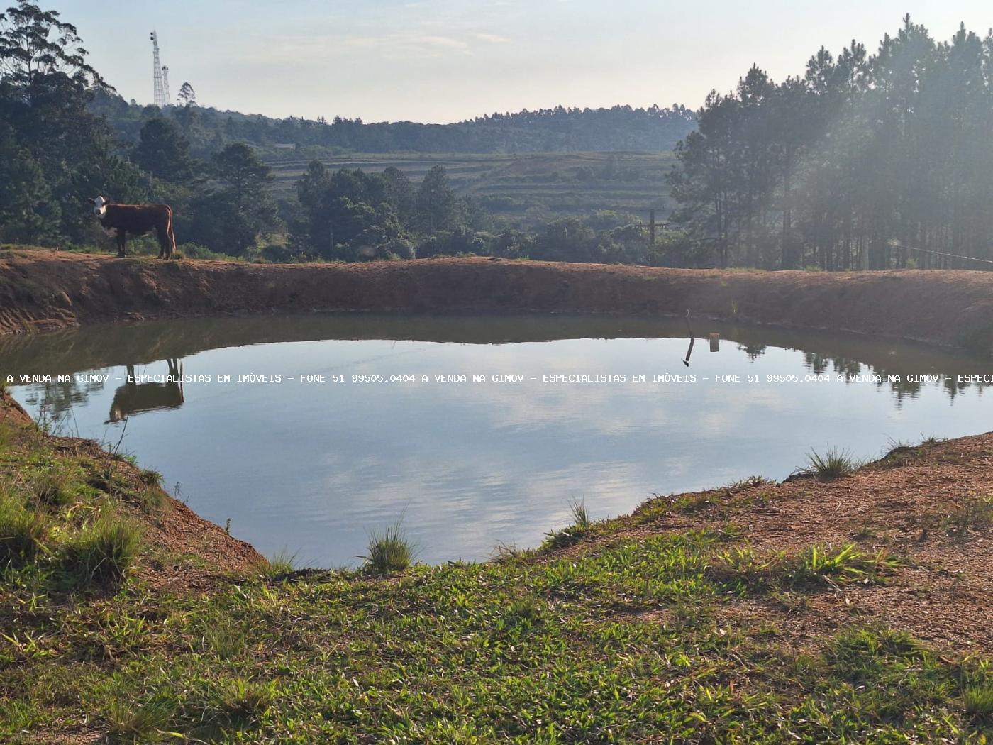 Fazenda à venda com 4 quartos, 80000m² - Foto 29