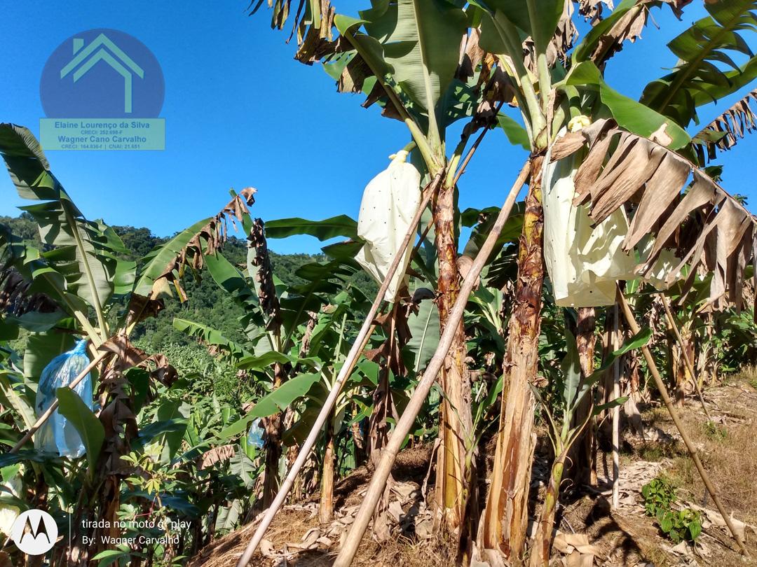 Fazenda à venda com 2 quartos, 8m² - Foto 9