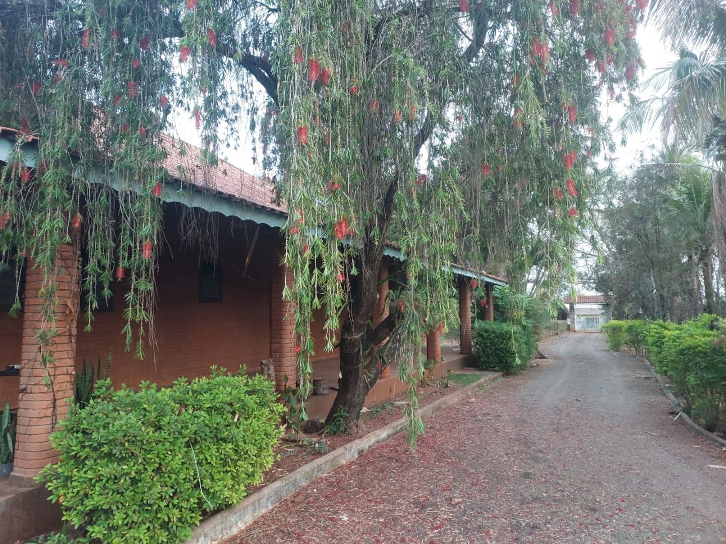 Haras e Área Rural Padrão à venda com 3 quartos, 96800M2 - Foto 3