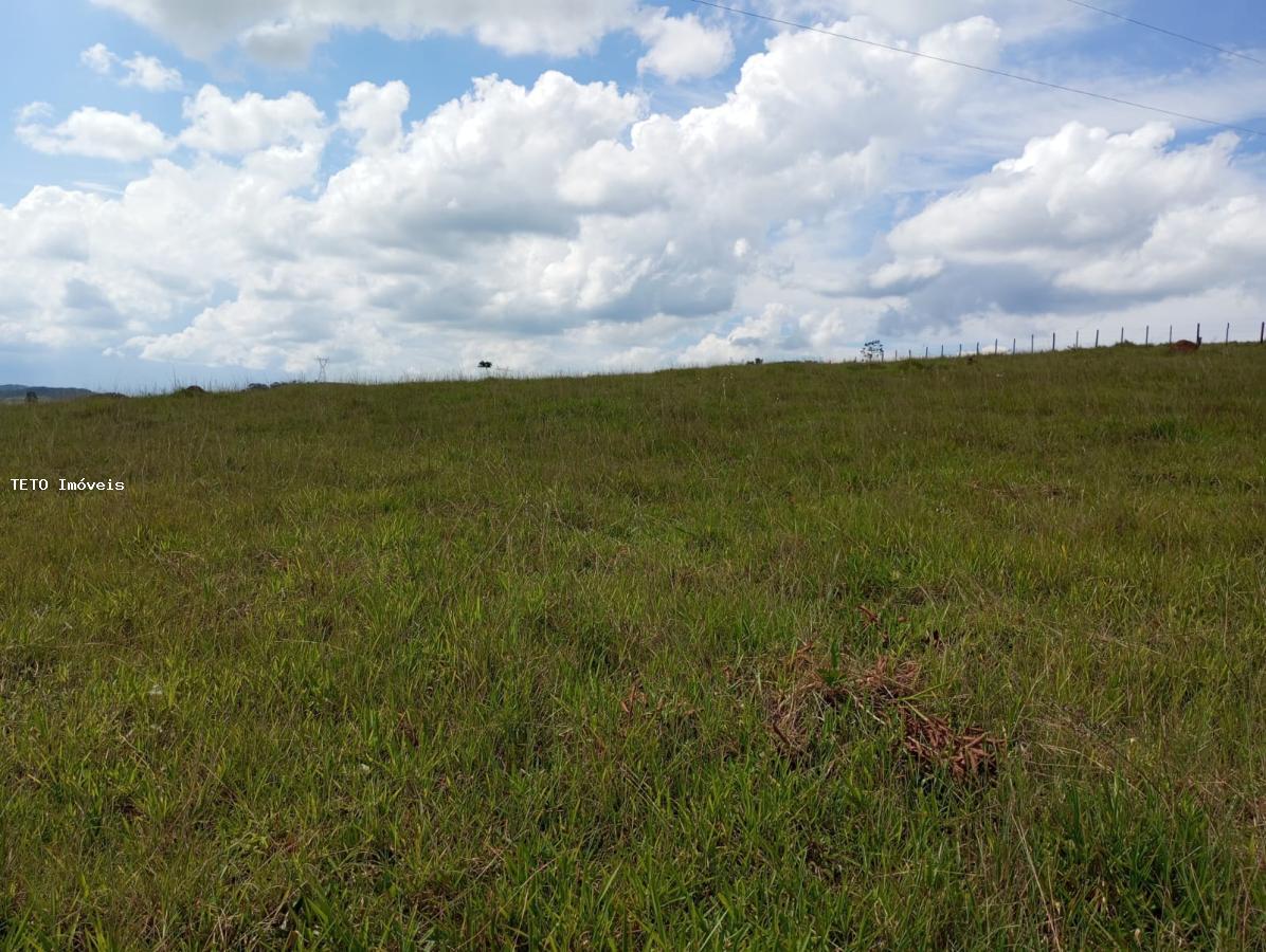 Fazenda à venda com 2 quartos, 25000m² - Foto 26